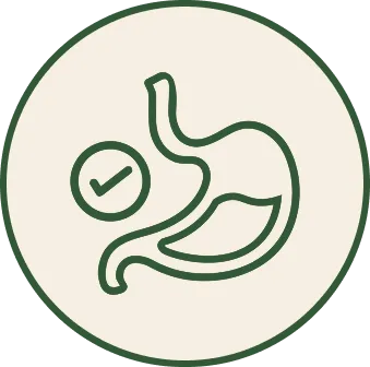 Image of Icon