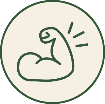 Image of Icon